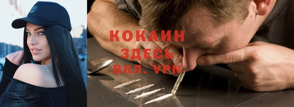 стафф Алексин
