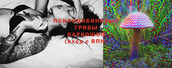 стафф Алексин